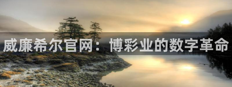 新航娱乐,apk.1：威廉希尔官网：博彩业的数字革命