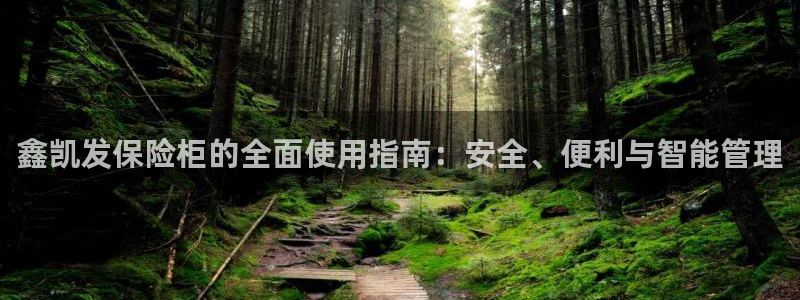 新航娱乐,apk.1：鑫凯发保险柜的全面使用指南：安全、便利与智能管理