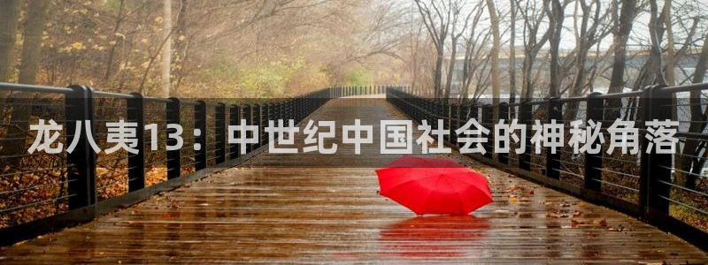 新航娱乐app官网