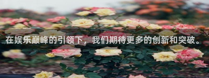 壹号大舞台官网
