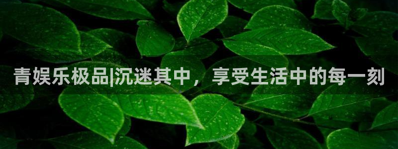壹号玩家app下载