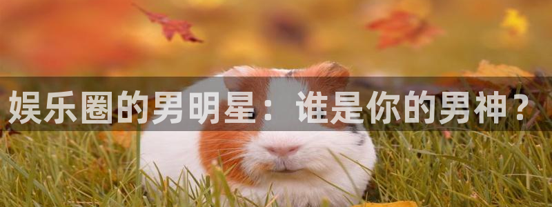 新航娱乐能退款吗