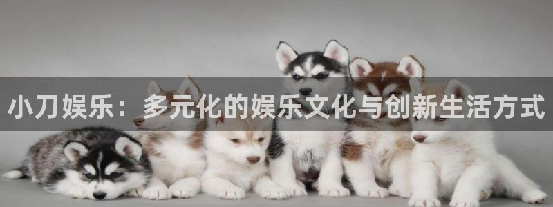新航娱乐,apk