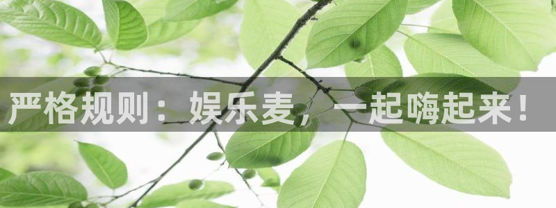 新航娱乐app下载