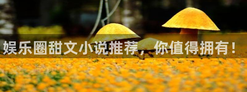 新航娱乐强制退款流程详解