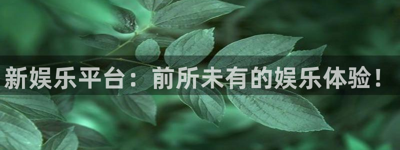 新航娱乐app下载安装最新版