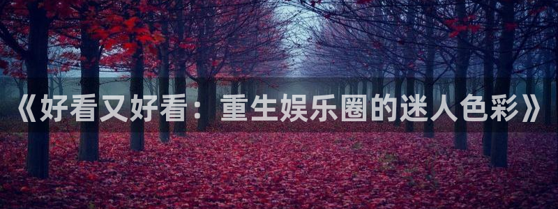 壹号玩家app下载