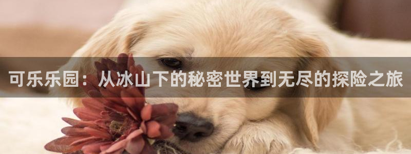 壹号电子娱乐app下载最新版