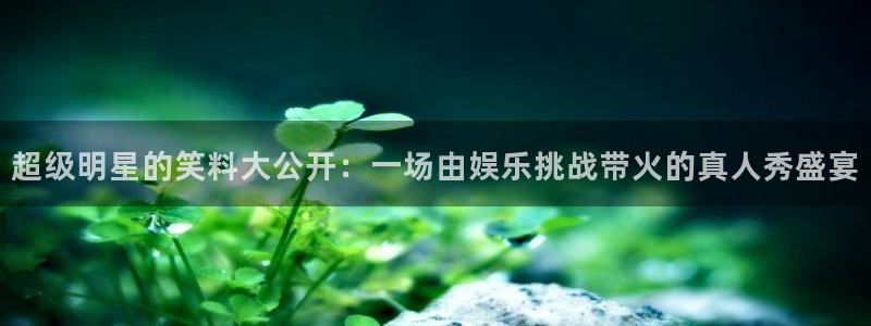 新航娱乐下载入口
