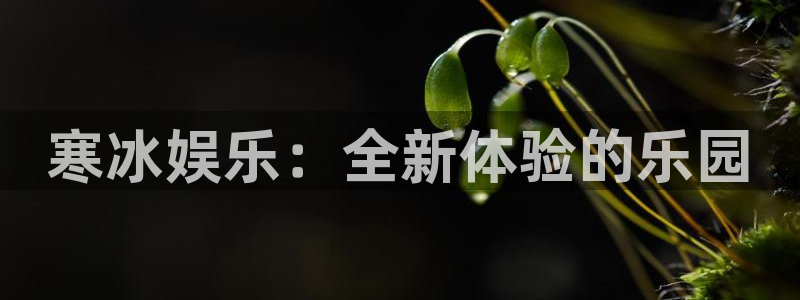 壹号大舞台,有梦你就来