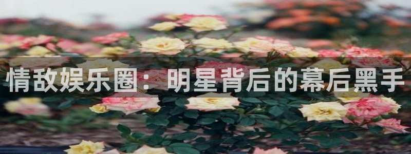 壹号官方app下载安装